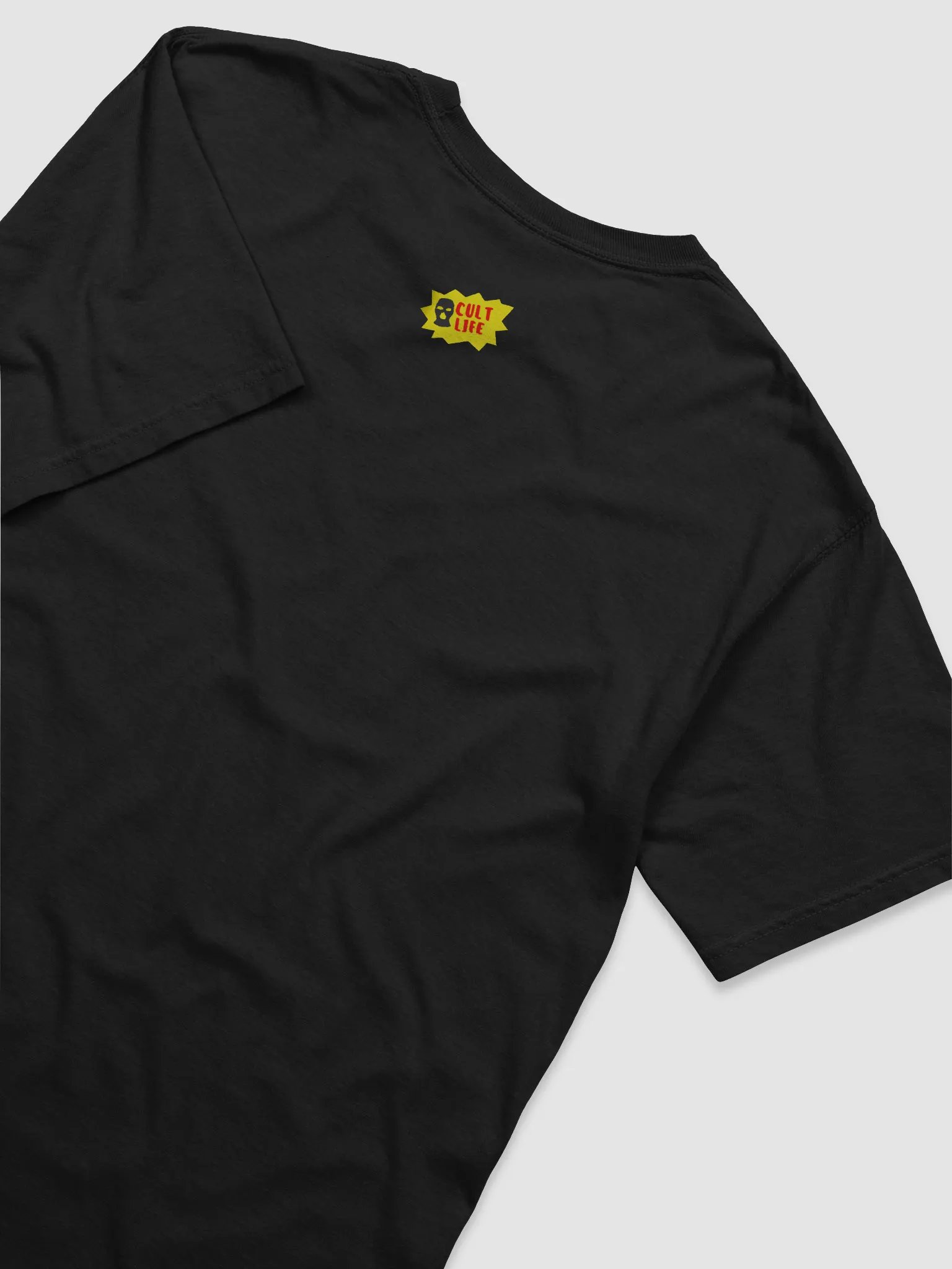 YOU ARE YOUR OWN MASTER SHIRT product image (4)