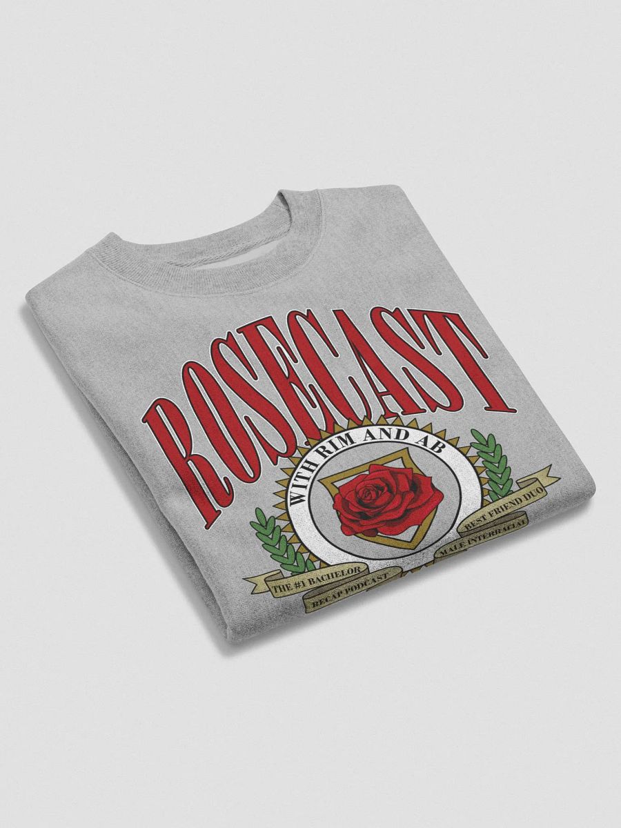 Vintage University Crewneck Sweatshirt (Champion) product image (6)