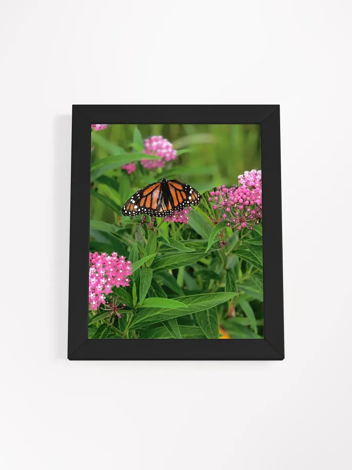 Monarch Butterfly High Quality Matte Poster product image (1)