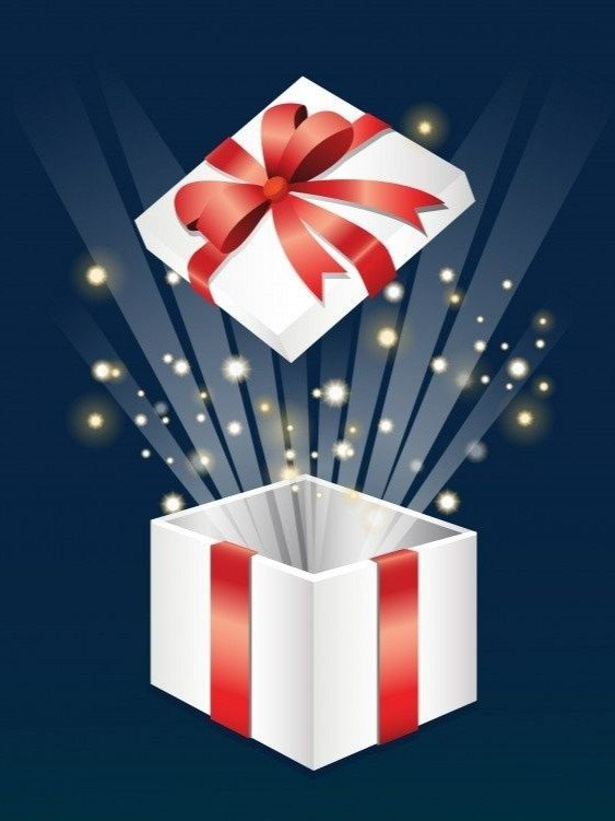 Gift Hand Picked by Sheikh Hamdan product image (1)