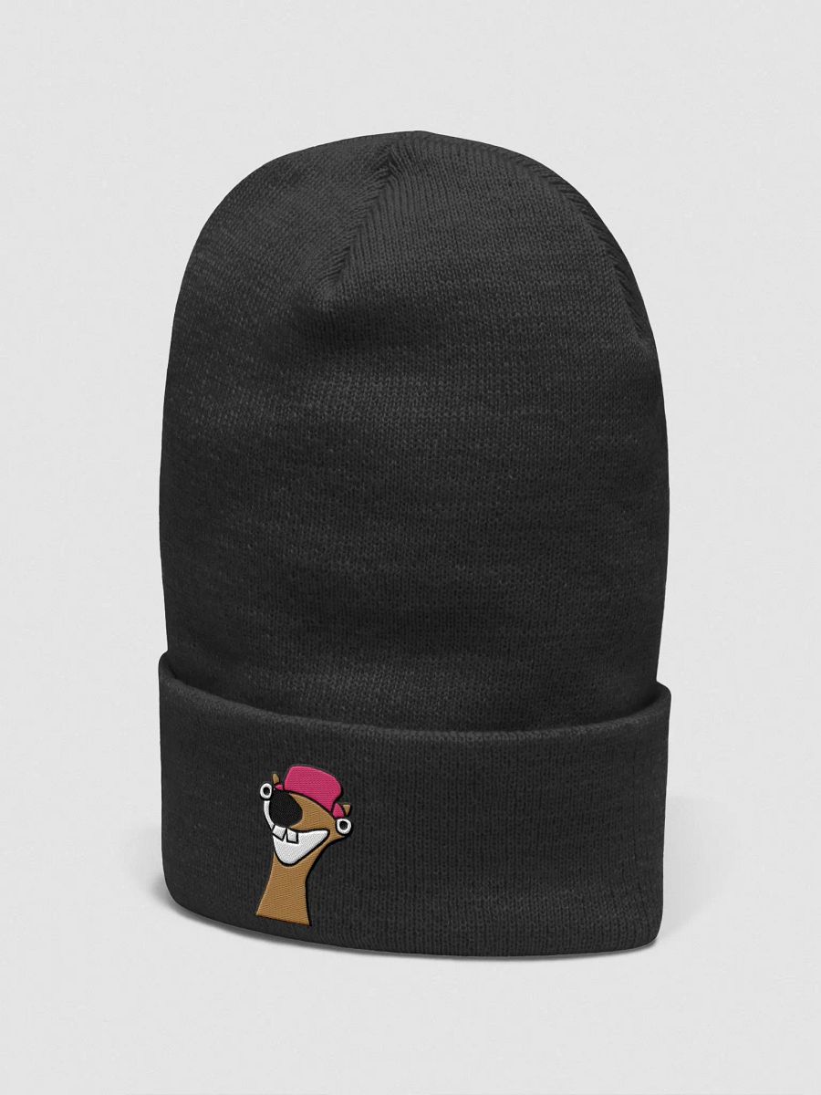Buscees Embroidered Beanie product image (3)