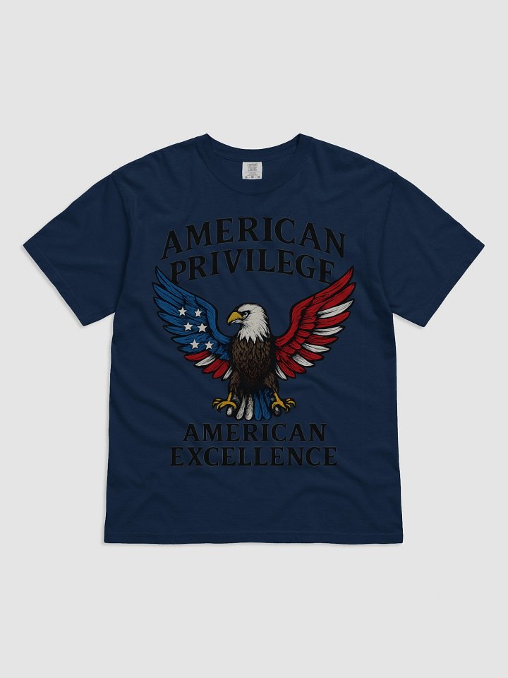 American Privilege American Excellence T-Shirt product image (1)