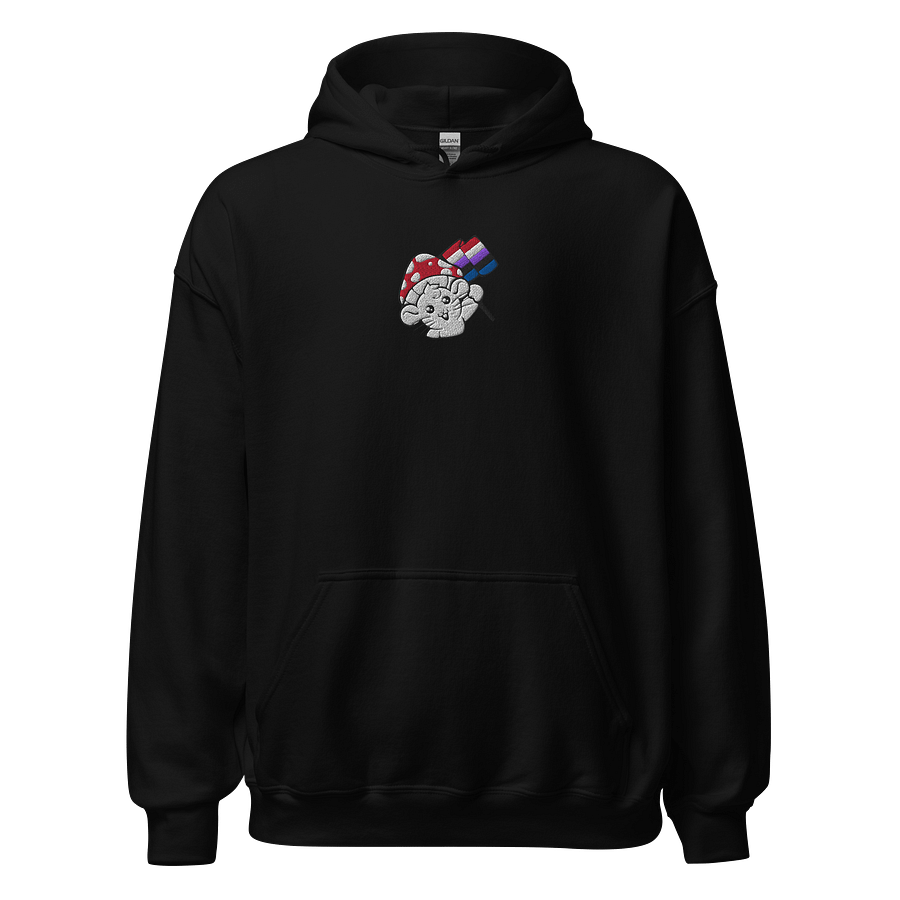 Genderfluid hoodie 4-5XL product image (1)