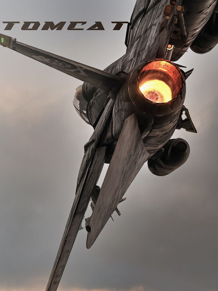 F-14 Tomcat Audio Addon for DCS: World product image (1)