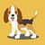 Beagle Care