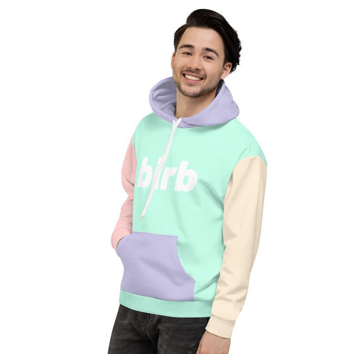 birb pastel hoodie product image (1)