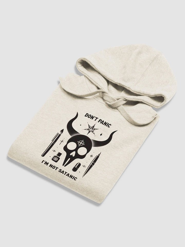DONT PANIC, I'M NOT SATANIC - Unisex Hoodie product image (2)