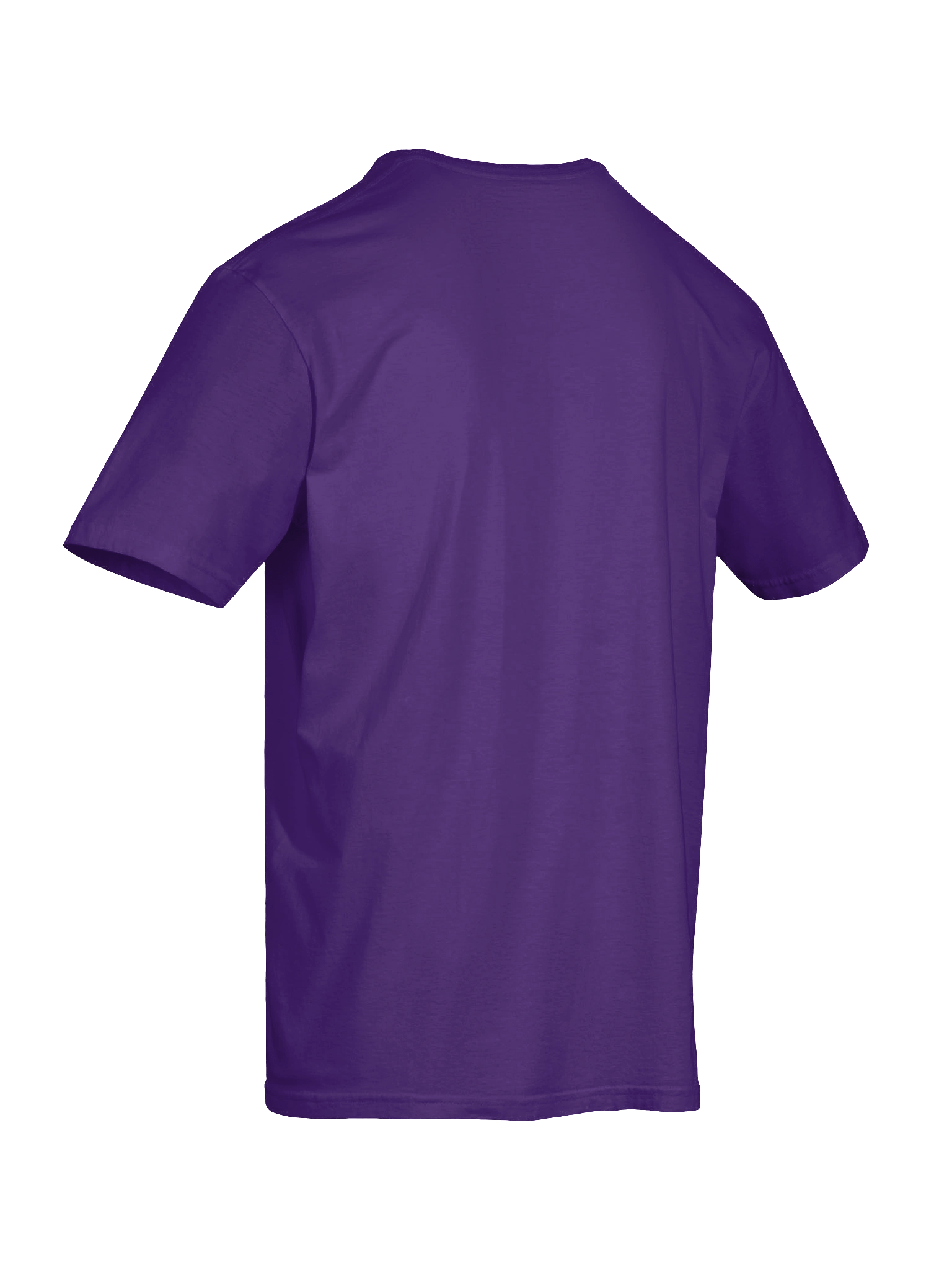 Gar the Great I Want Attention T-Shirt product image (28)