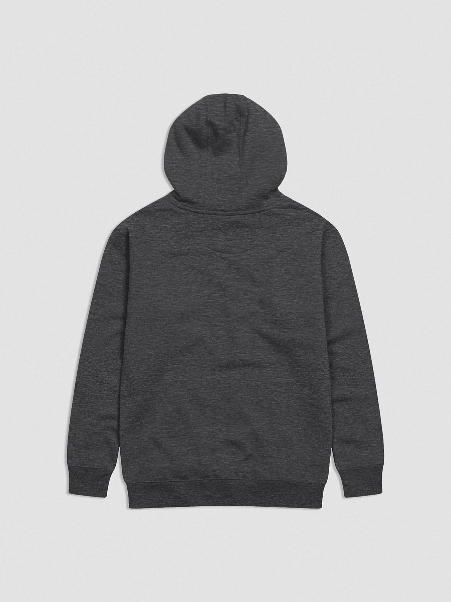 GINX+ Hoodie (Embroidered Logo) product image (12)