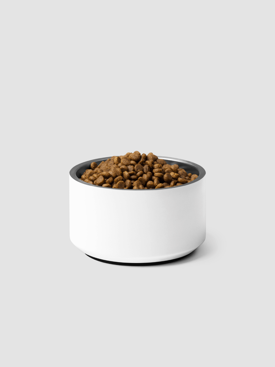 Kid Airplane (Pet bowl) product image (7)