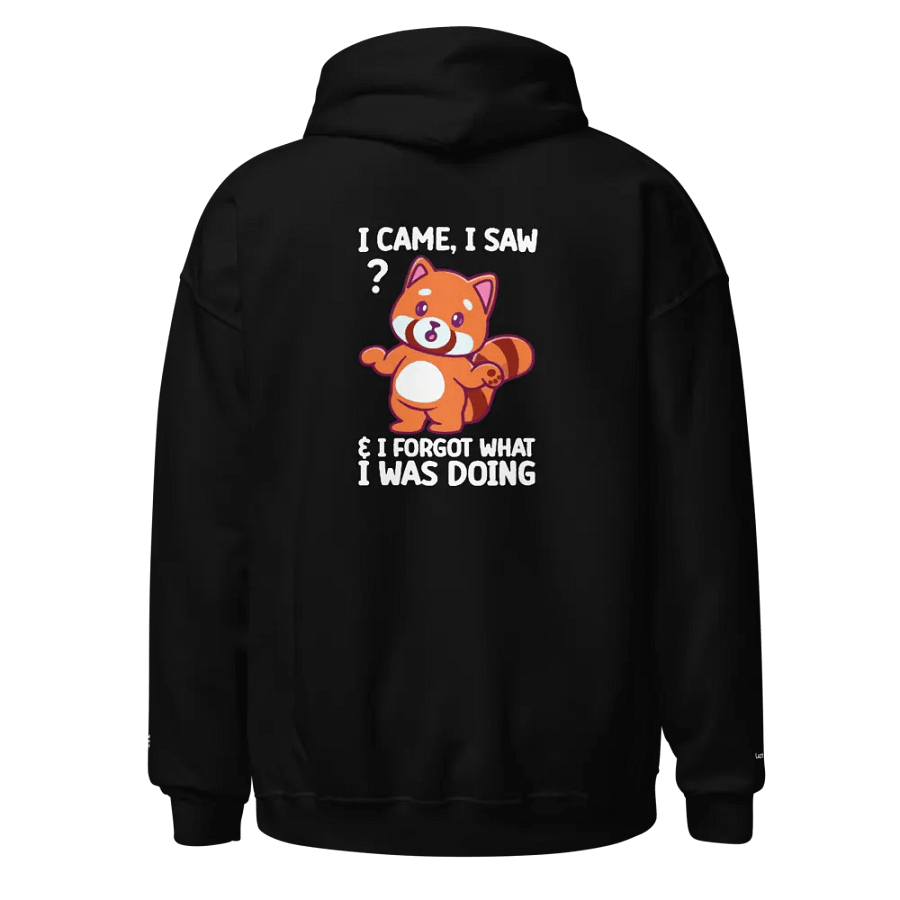 FORGOTTEN Panda Hoodie product image (1)