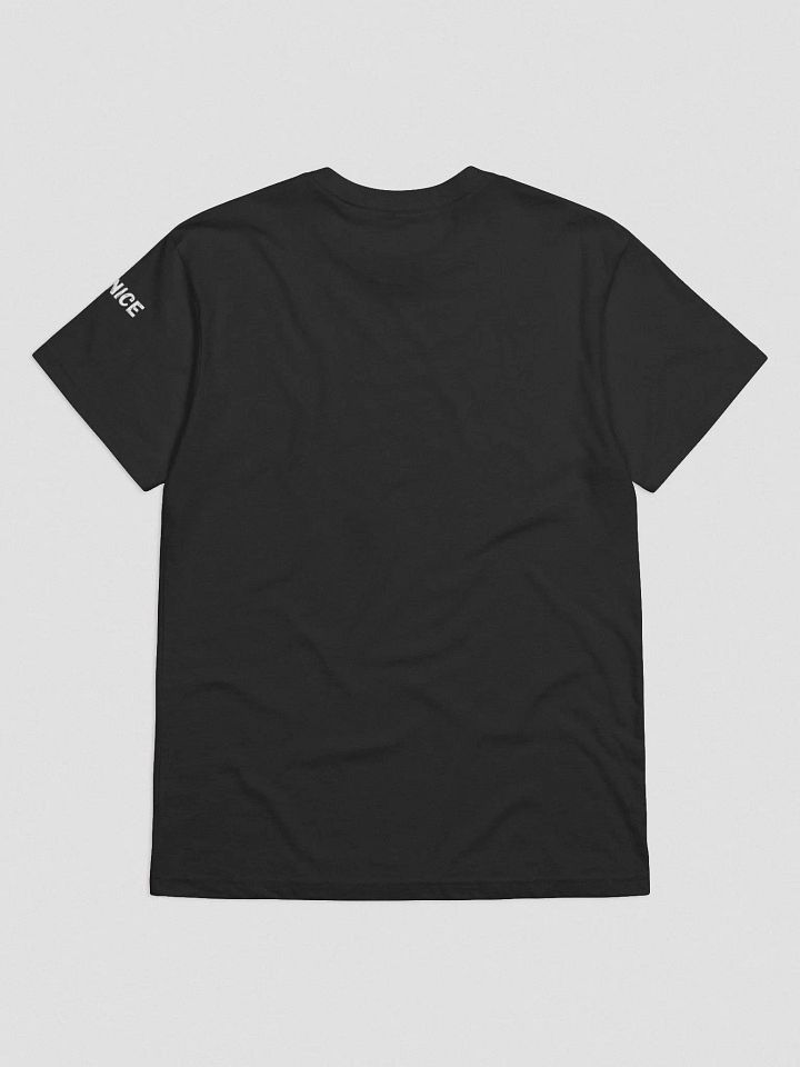 The TESLAP product image (5)