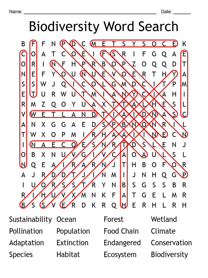 Printable Biodiversity Word Search – Fun Environmental Science Activity! product image (2)