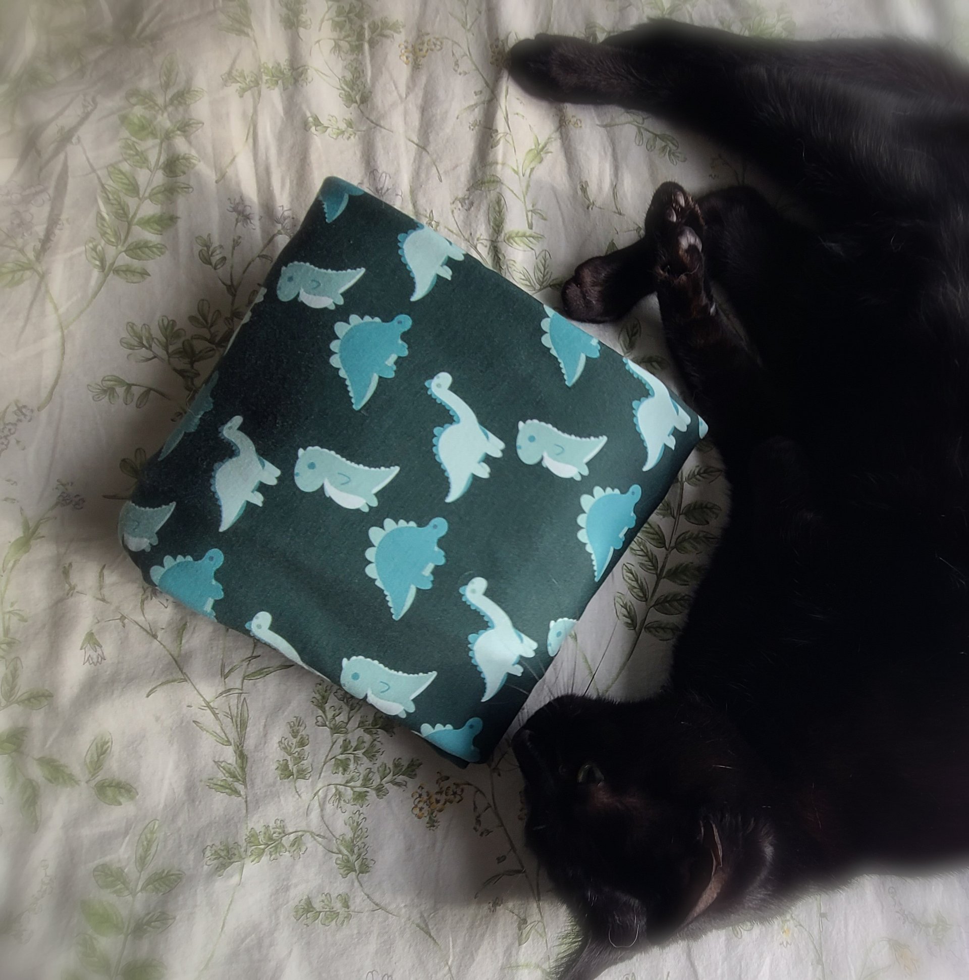 Green Dino Eco Sweatshirt product image (3)