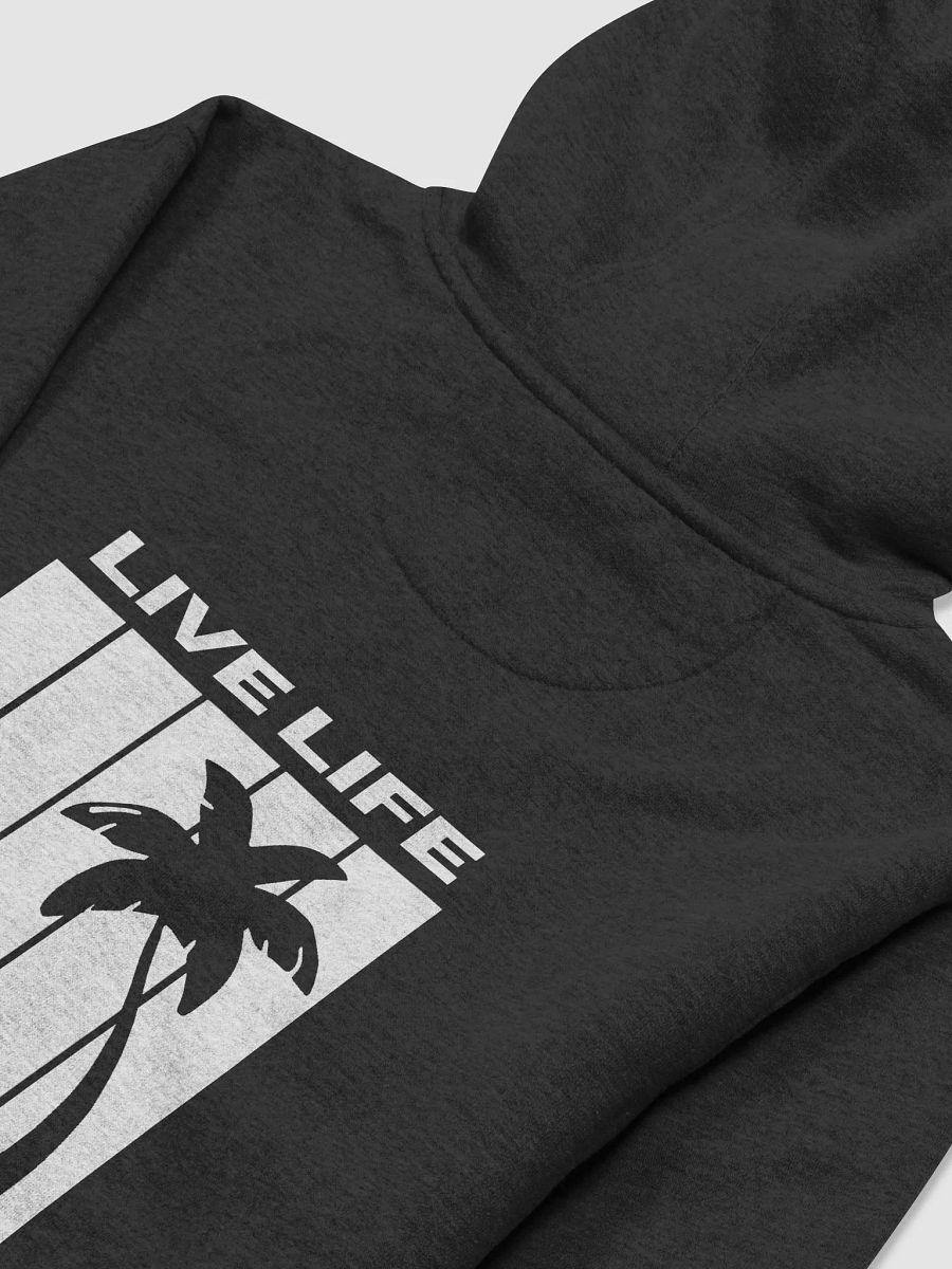 LIVE LIFE DO DUMB SHIT Premium Hoodie product image (8)