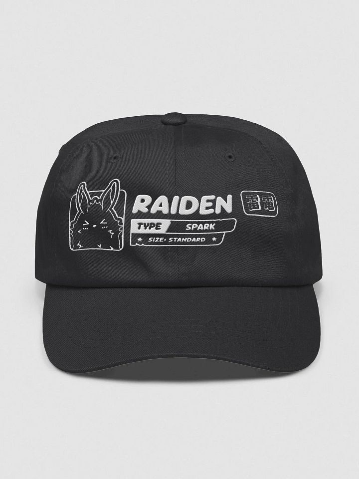 Raiden Streetwear Hat product image (1)