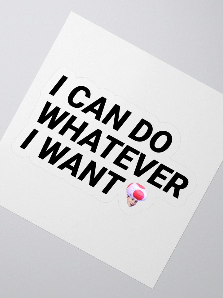 I CAN DO W.E I WANT STICKER product image (6)