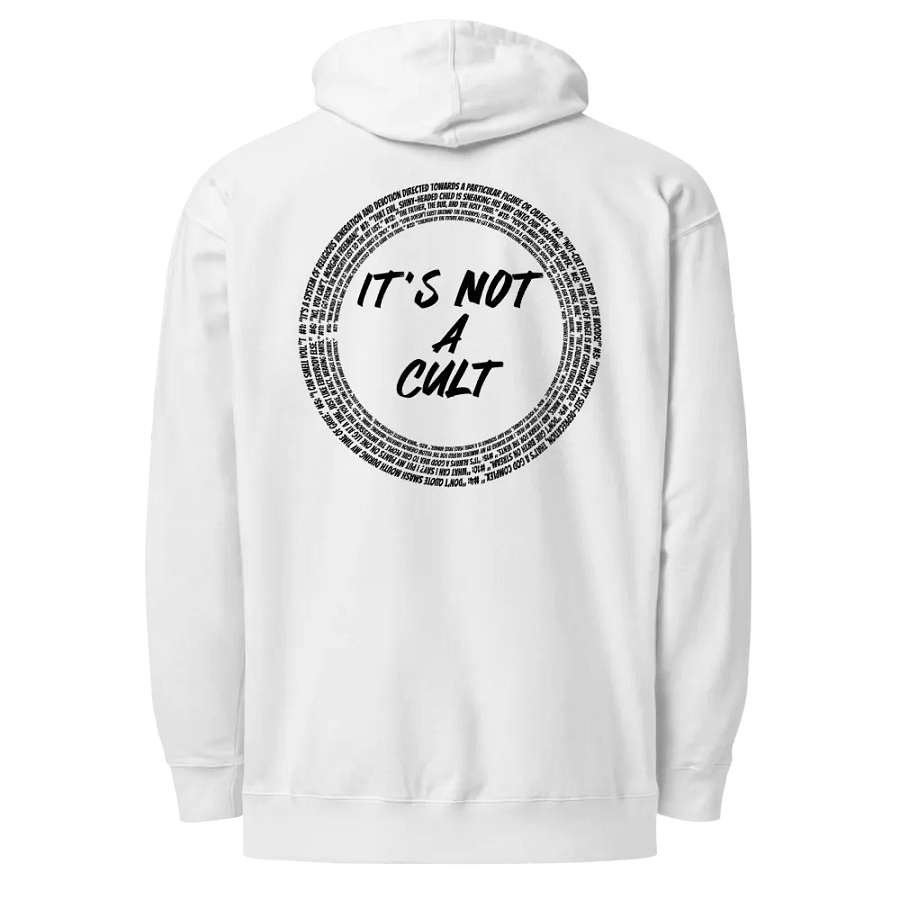 Not-Cult Embroidered Hoodie (LIGHT) product image (2)