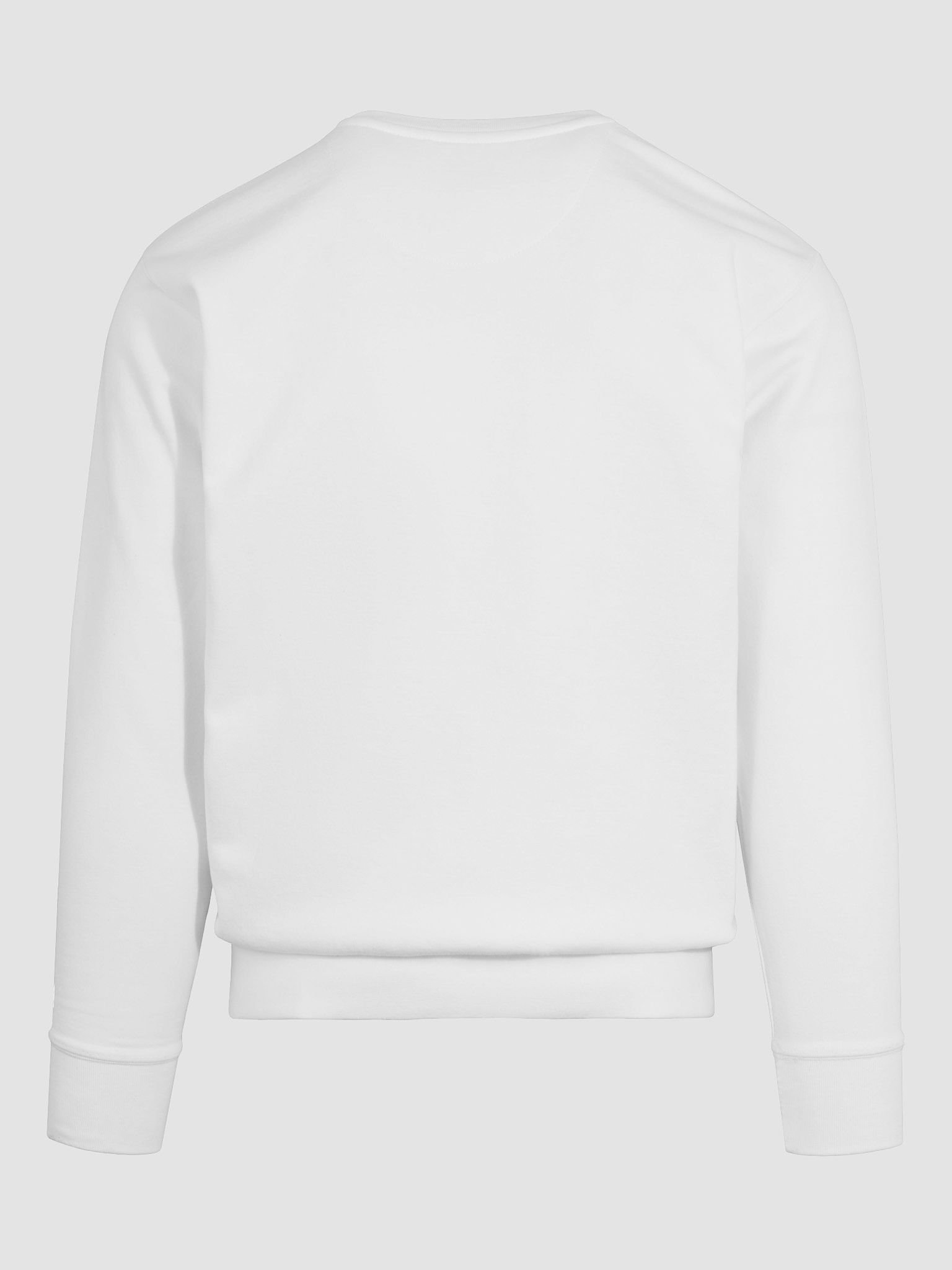 Resolver in the Wild Sweatshirt product image (11)