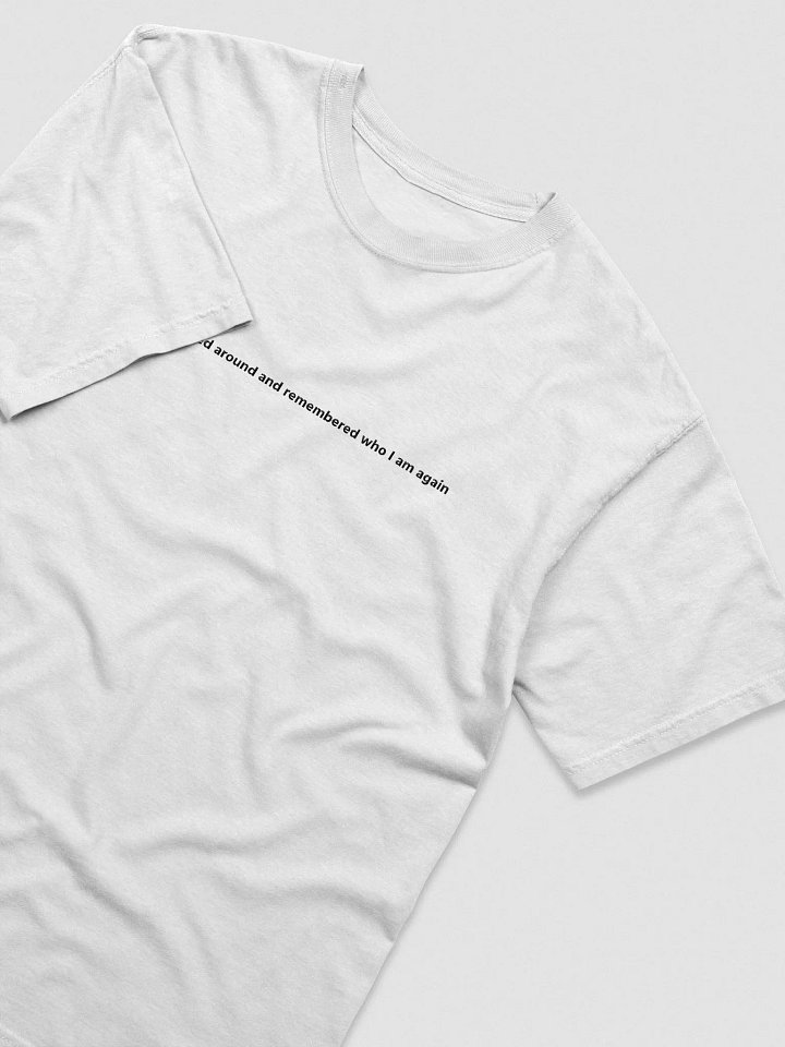 I done fucked around and remembered who I am again T-Shirt product image (2)