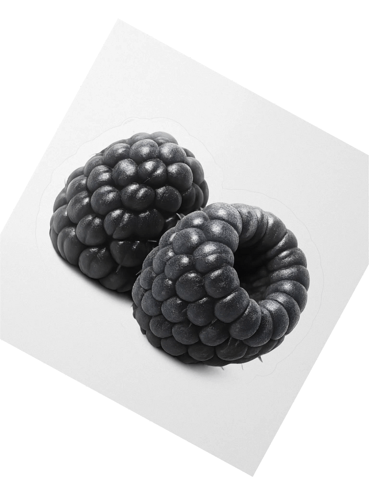Black Matte Raspberries Sticker product image (2)