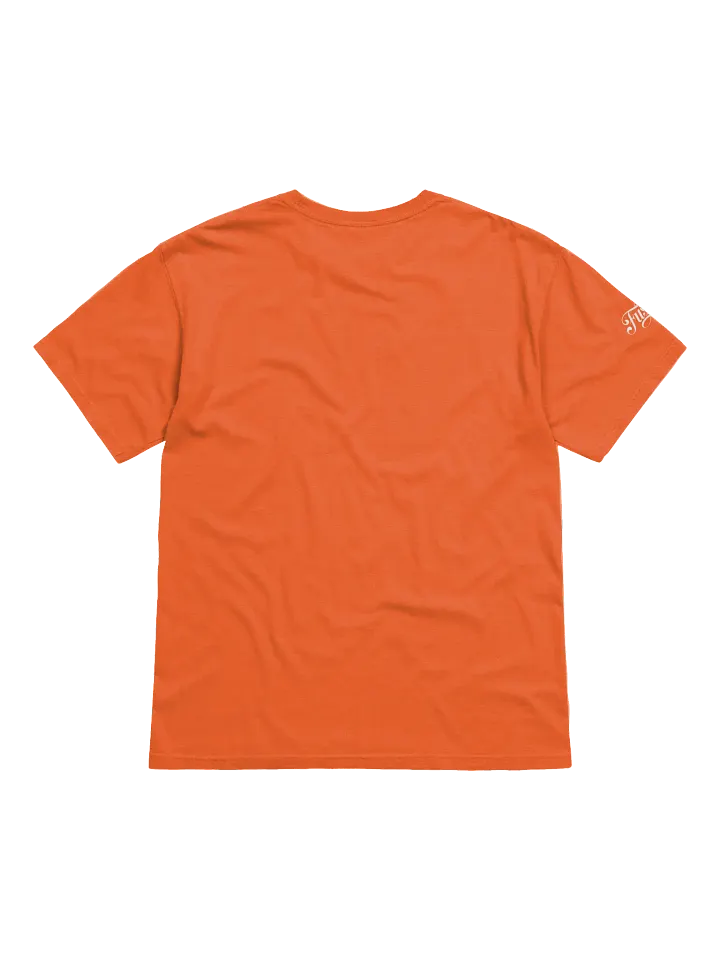 Stand for Freedom, Not for Trump. Protest T-Shirt product image (8)