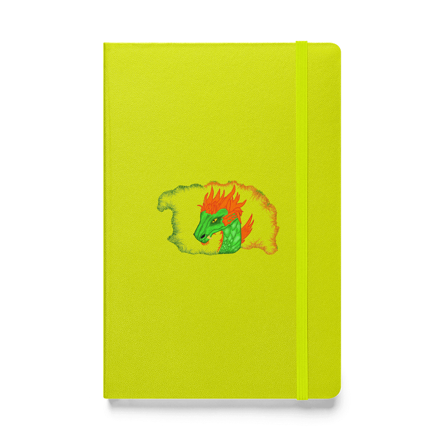 Dragon's Lair Hardcover Notebook product image (1)