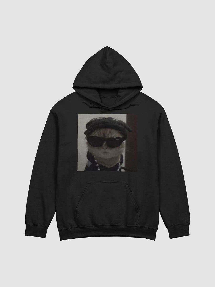 swag hoodie product image (1)