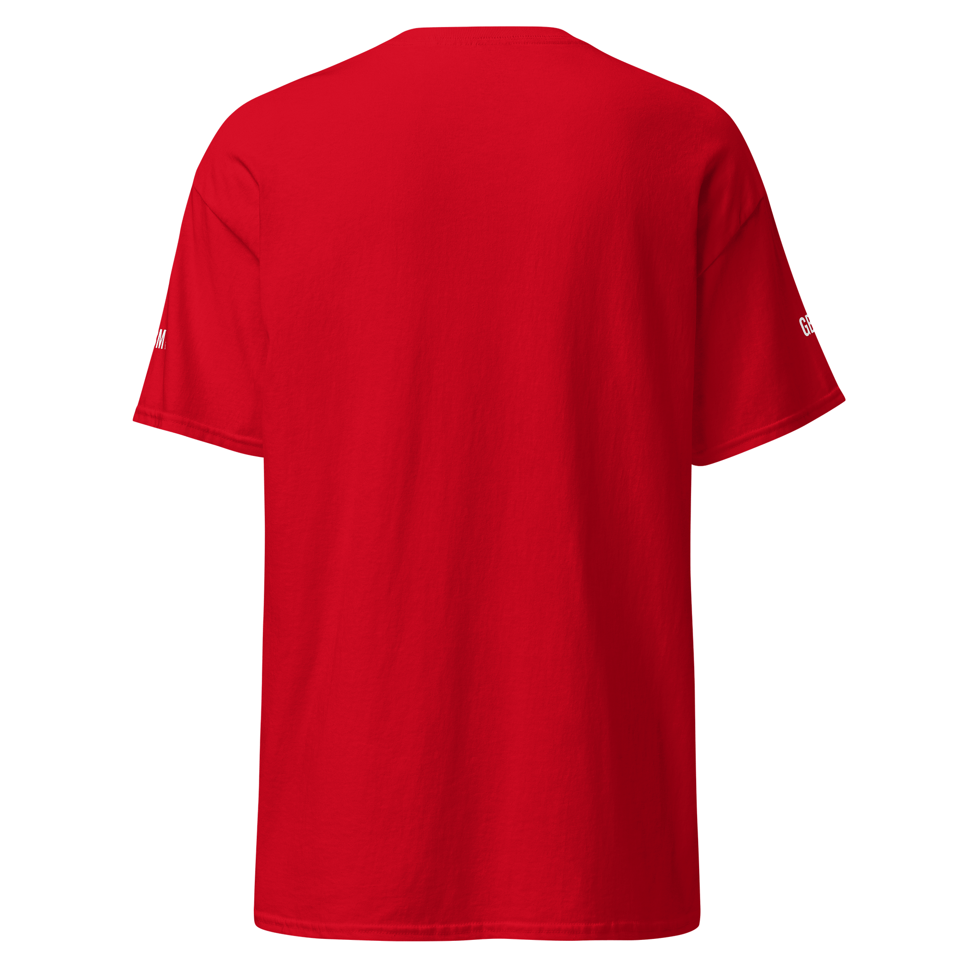 Confessions on the Train -GBMT Edition Street Tee product image (7)