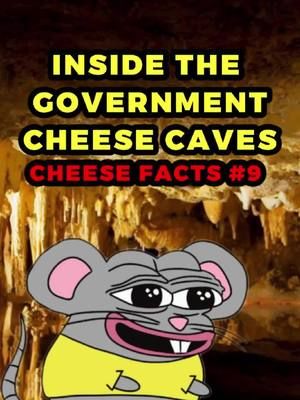 You will never believe what's in the government cheese caves! 🧀🐭 #cheese #cheesecaves #dairy #conspiracytiktok #fyp #thestinkymouse 