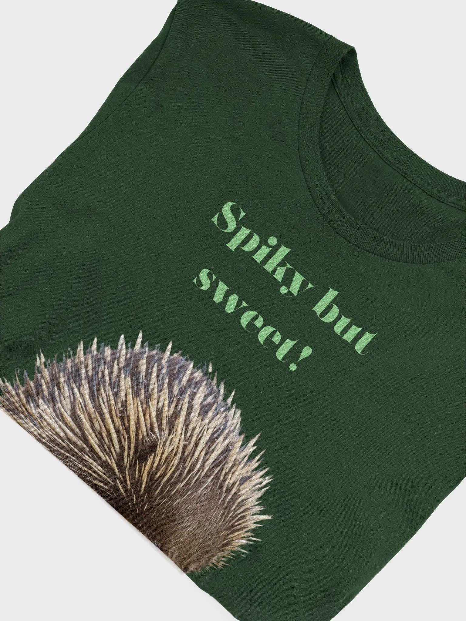 Spiky but Sweet Echidna T-Shirt product image (3)