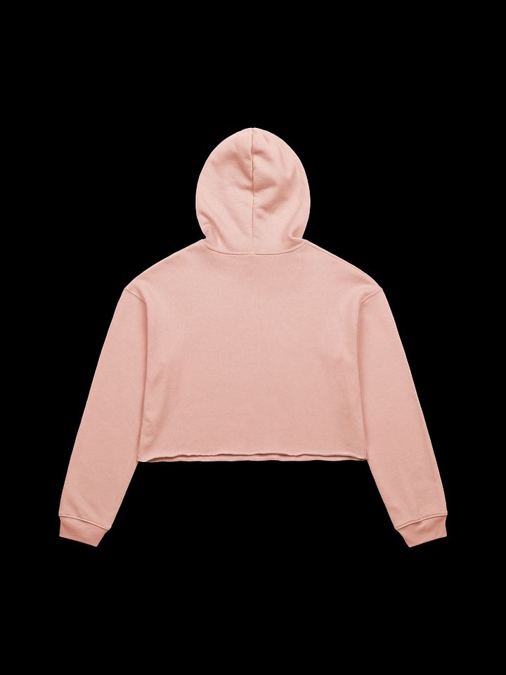 HollyRex Cropped Hoodie product image (13)