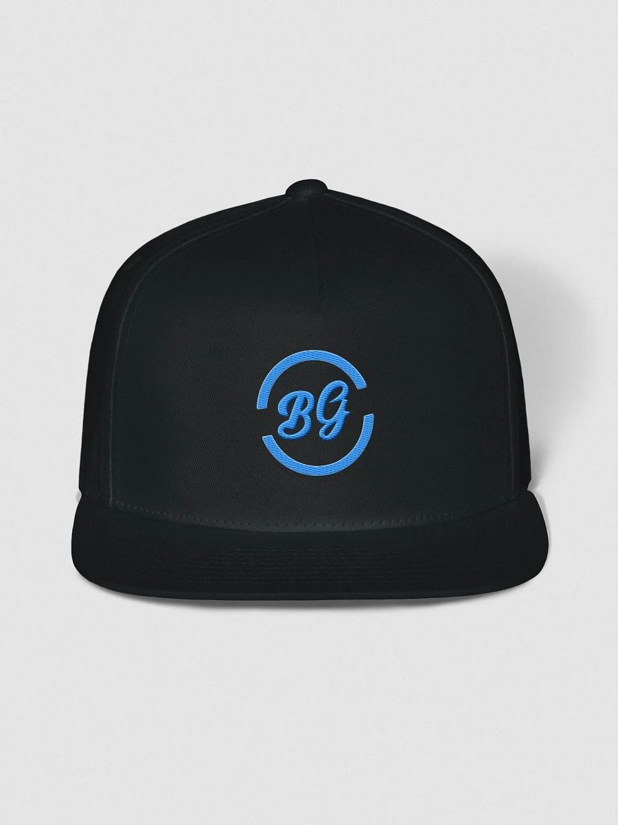 Logo Hat product image (4)