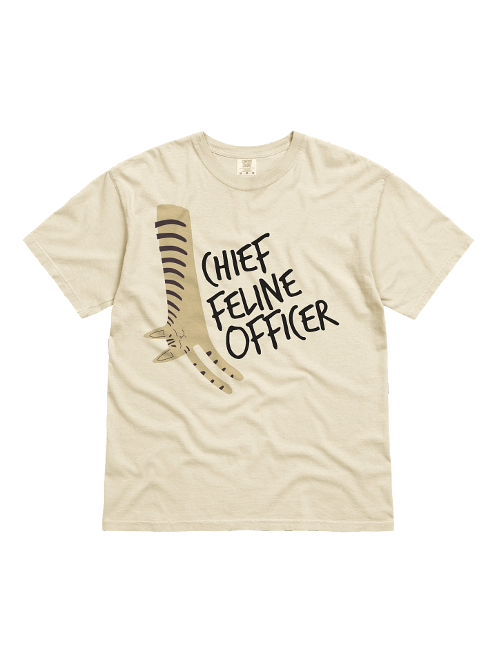 Chief Feline Officer product image (2)