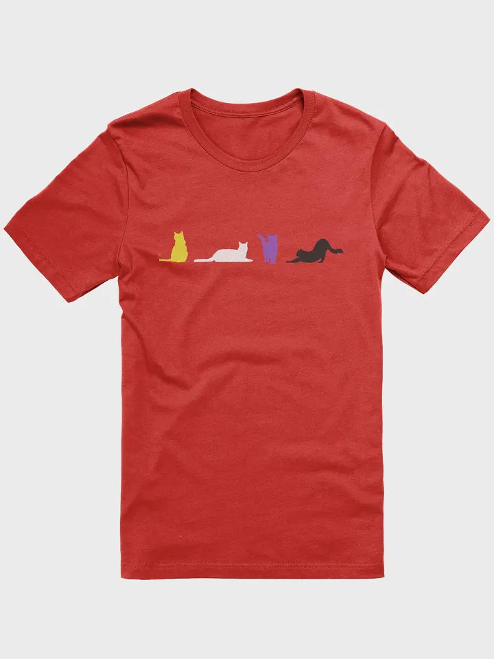 Nonbinary Pride Cats Women's Shirt product image (8)
