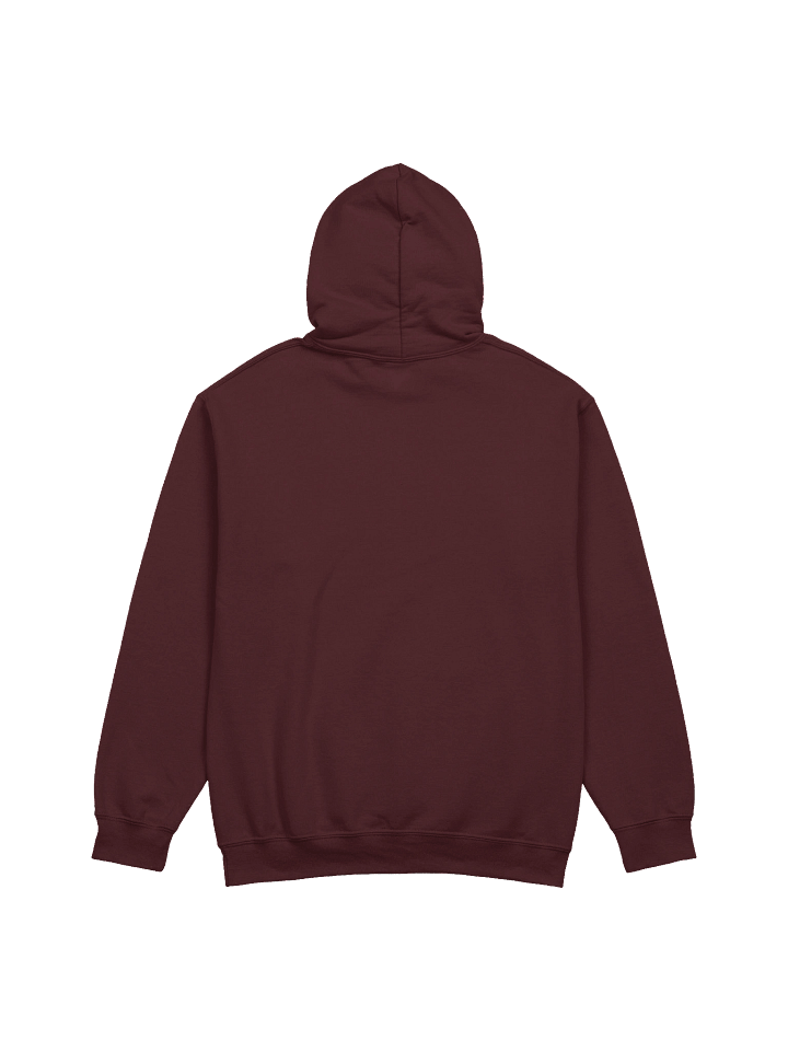 Hoodie - Packet Muncher™ product image (3)