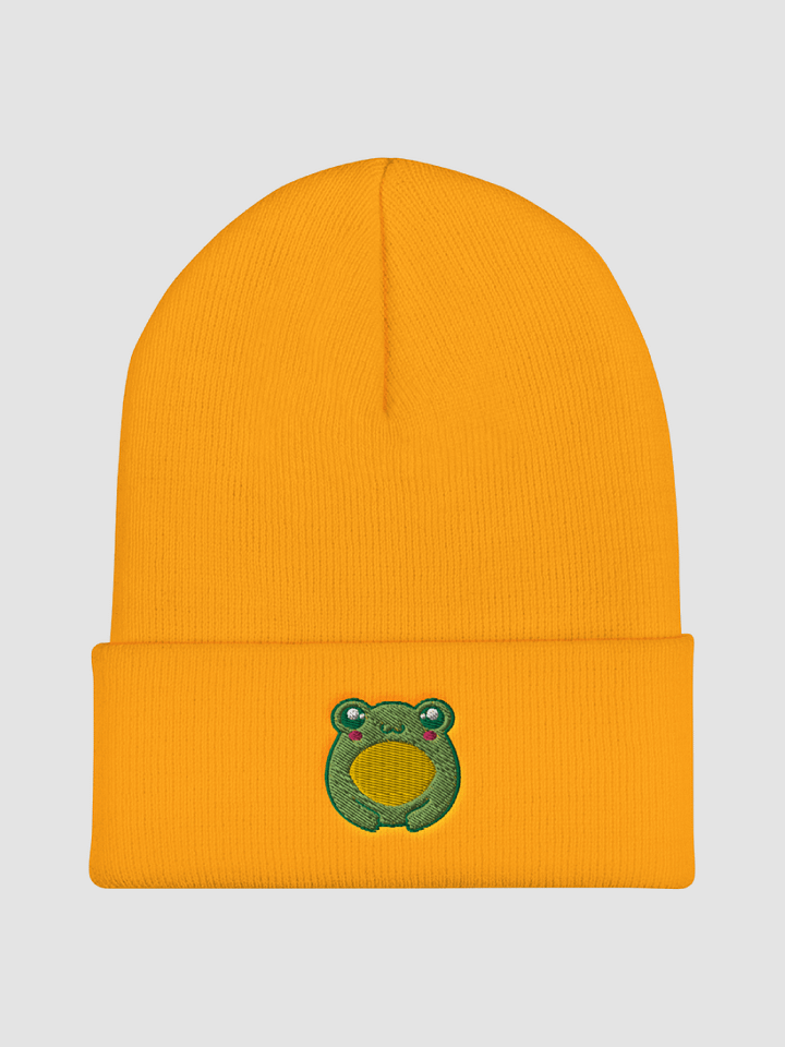 Froggo Embroidered Cuffed Beanie product image (2)
