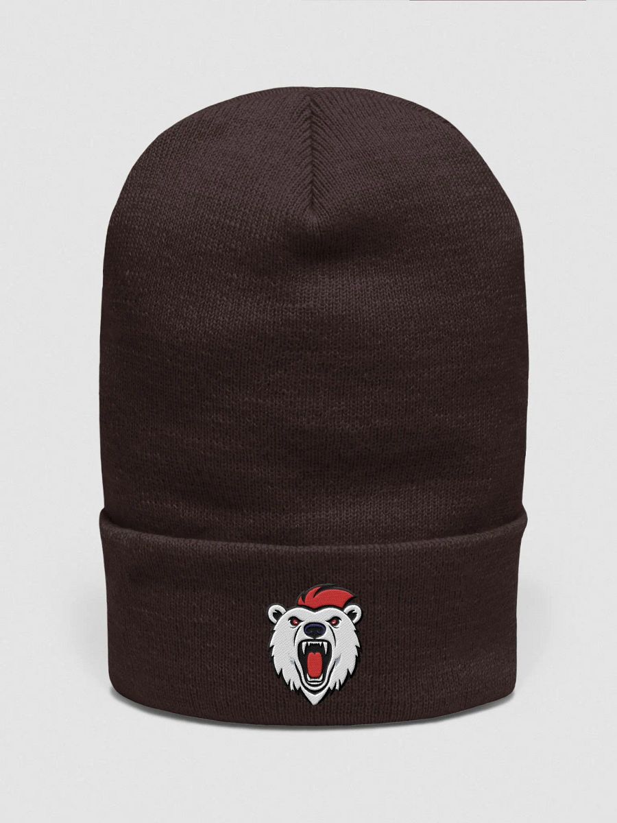 Polarifix Beanie product image (5)
