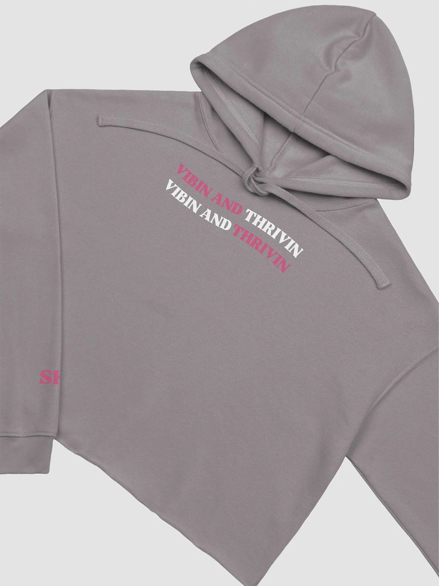 SK8's Vibin and Thrivin Cropped Hoodie product image (3)
