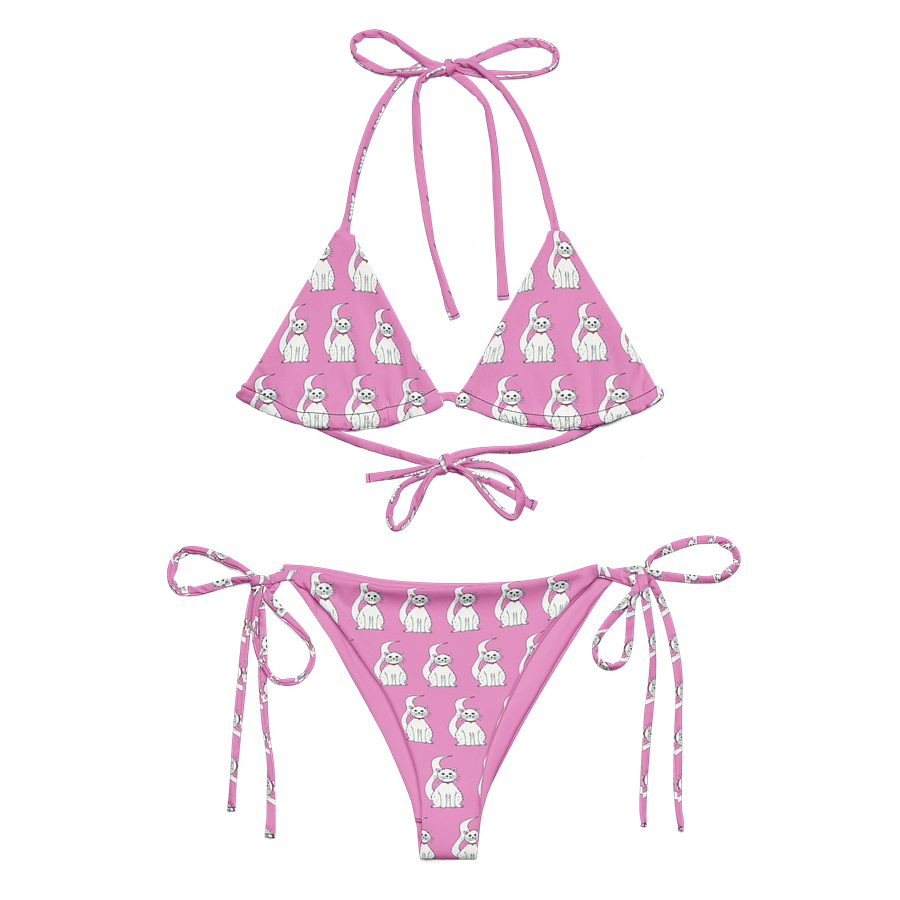 White Cat (art by Dina R.) akril painting picture - String Bikini product image (12)