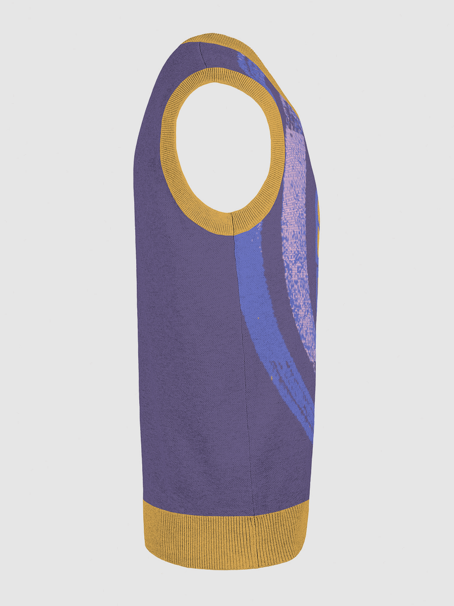 Sunlit Vibe Knitted Vest product image (23)
