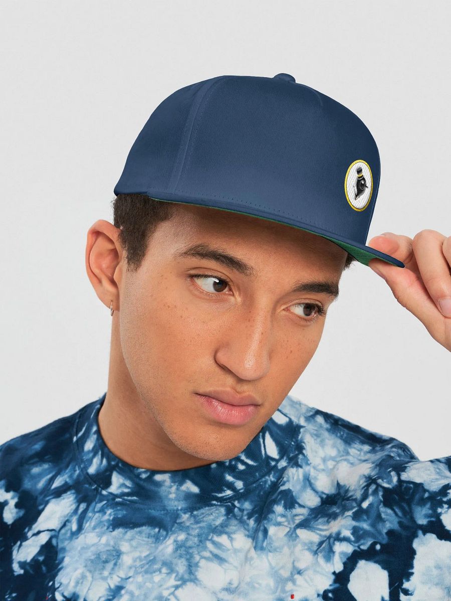 Flappingham Logo Hat product image (16)