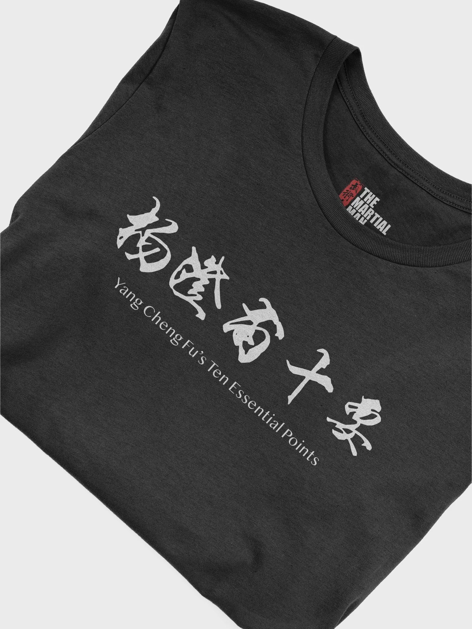 Taiji Quan Calligraphy - T-Shirt product image (5)