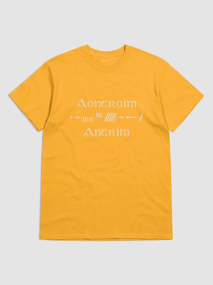 Antrim/Aontroim Scholastic style Ogham Saffron Printed T-shirt product image (1)
