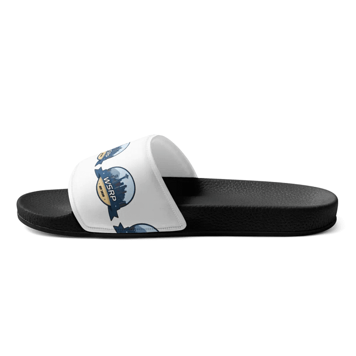 WSRP Slides product image (2)