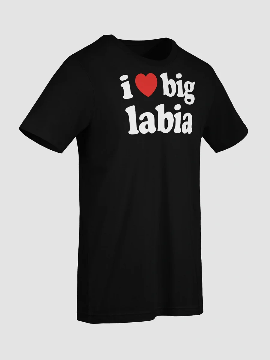 I ❤️ BIG LABIA T-SHIRT product image (9)