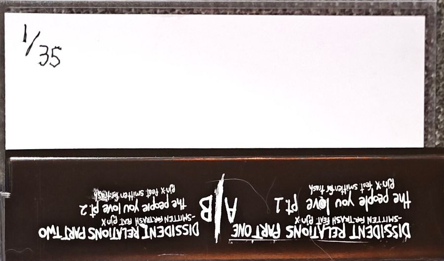 Smitten for Trash / pjn x - Dissident Relations; The People You Love [Cassette] product image (4)