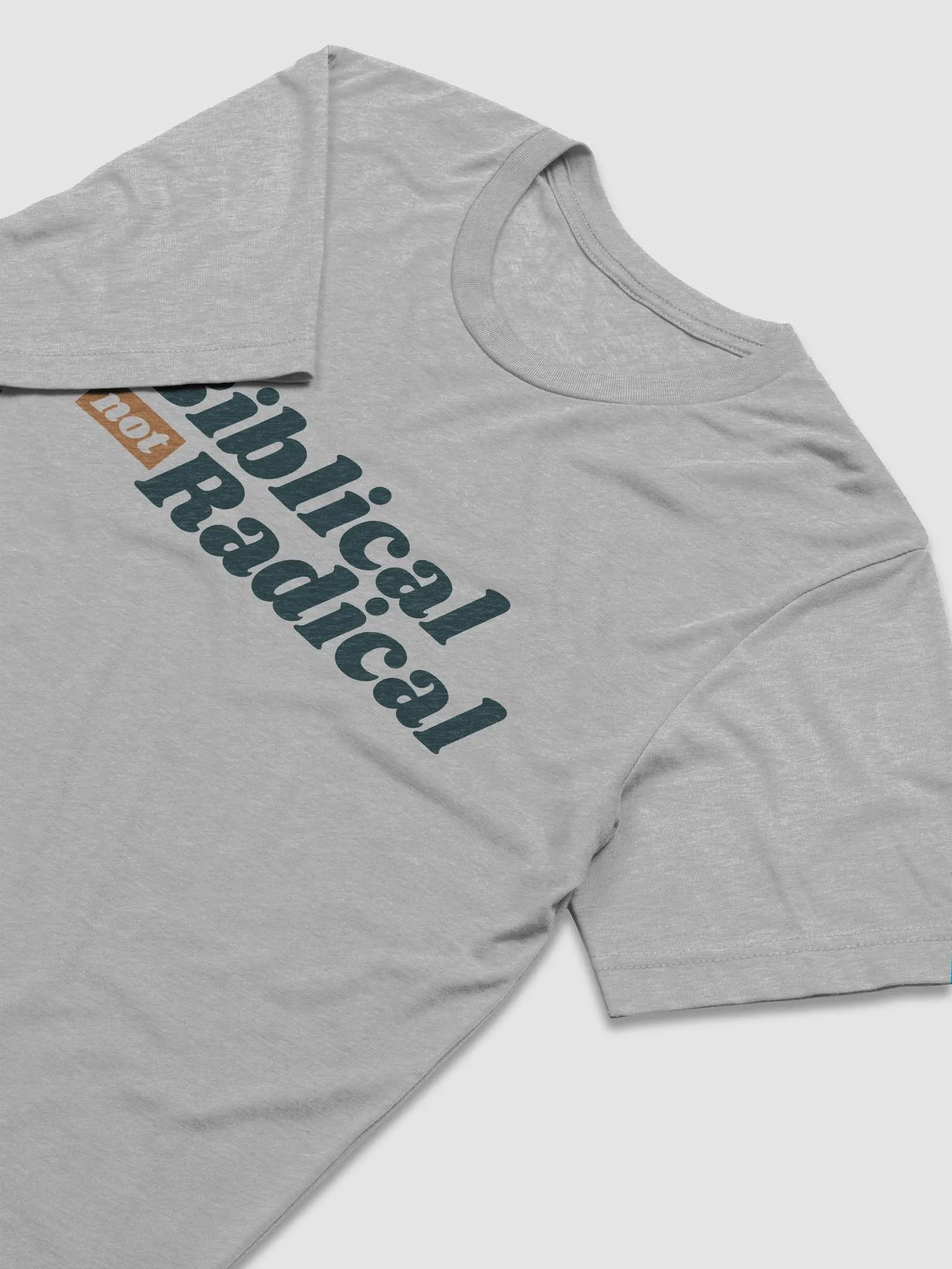 Men's T-Shirt: Biblical Not Radical (more colors available) product image (2)