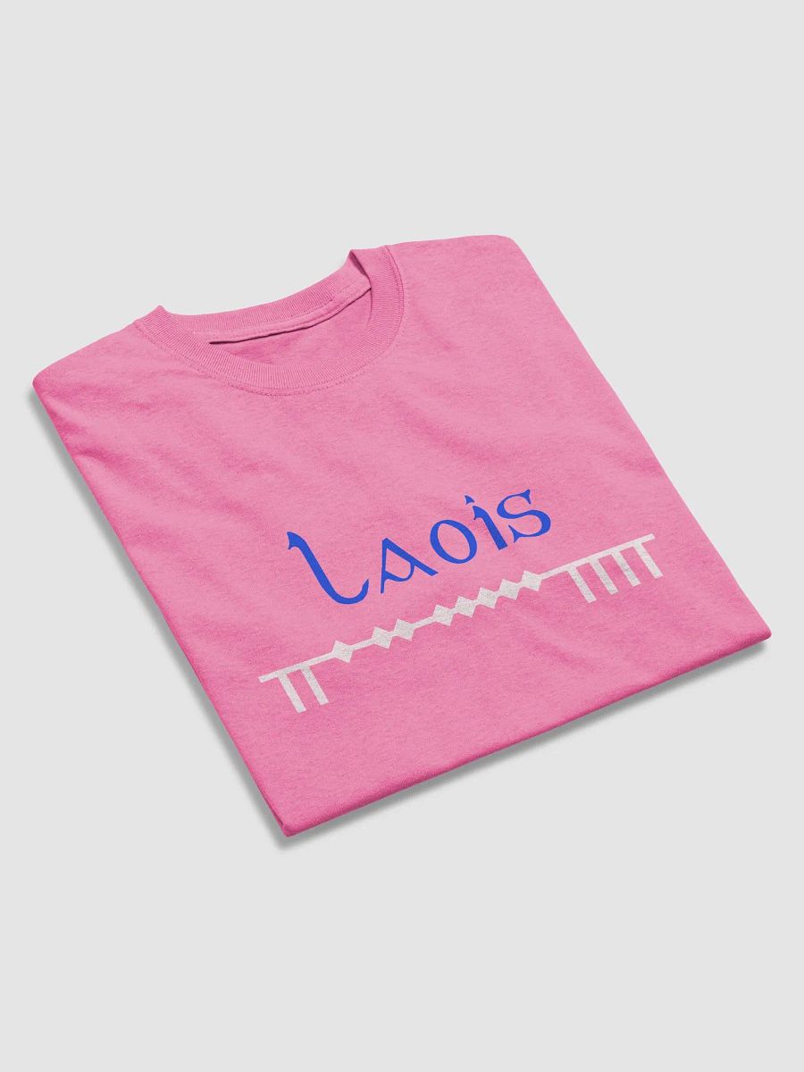 Laois Scholastic style Ogham Printed T-shirt product image (3)