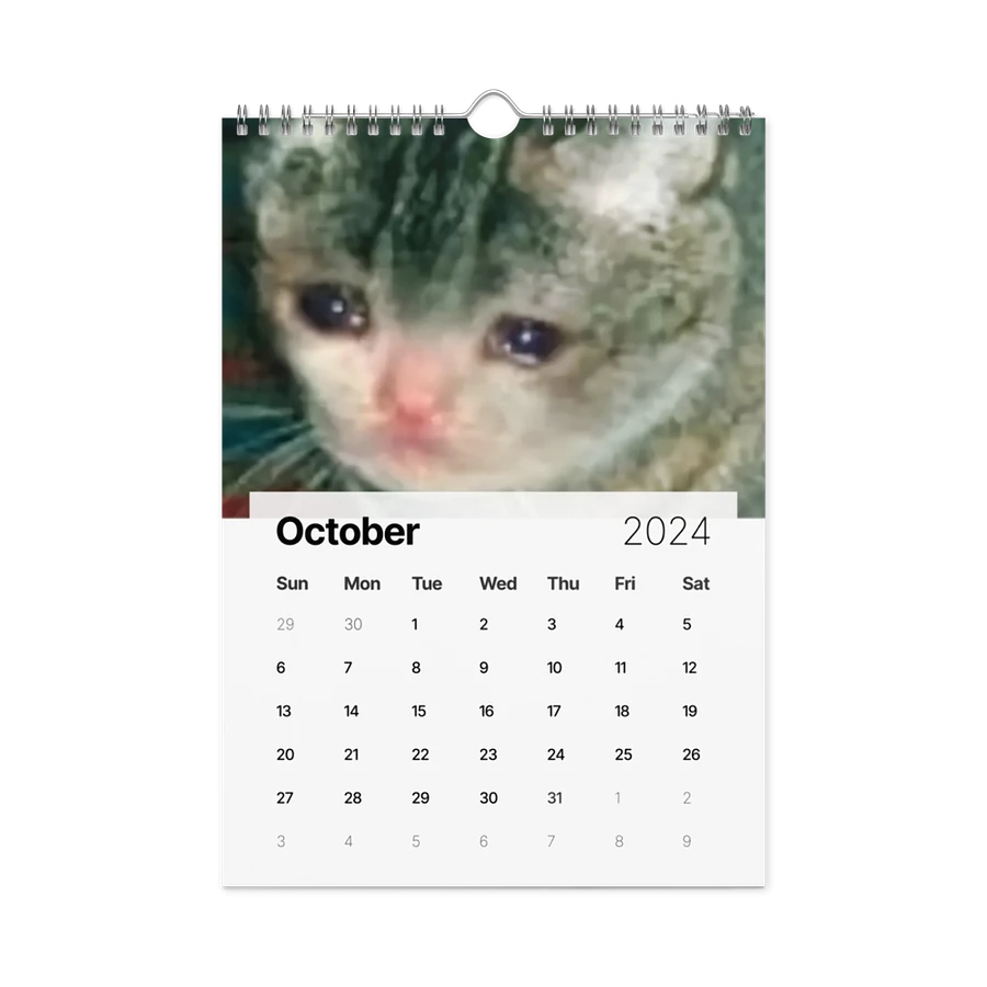 Wall Calendar (2024): Meme Cats product image (16)